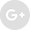 Google+ - Grey Circle